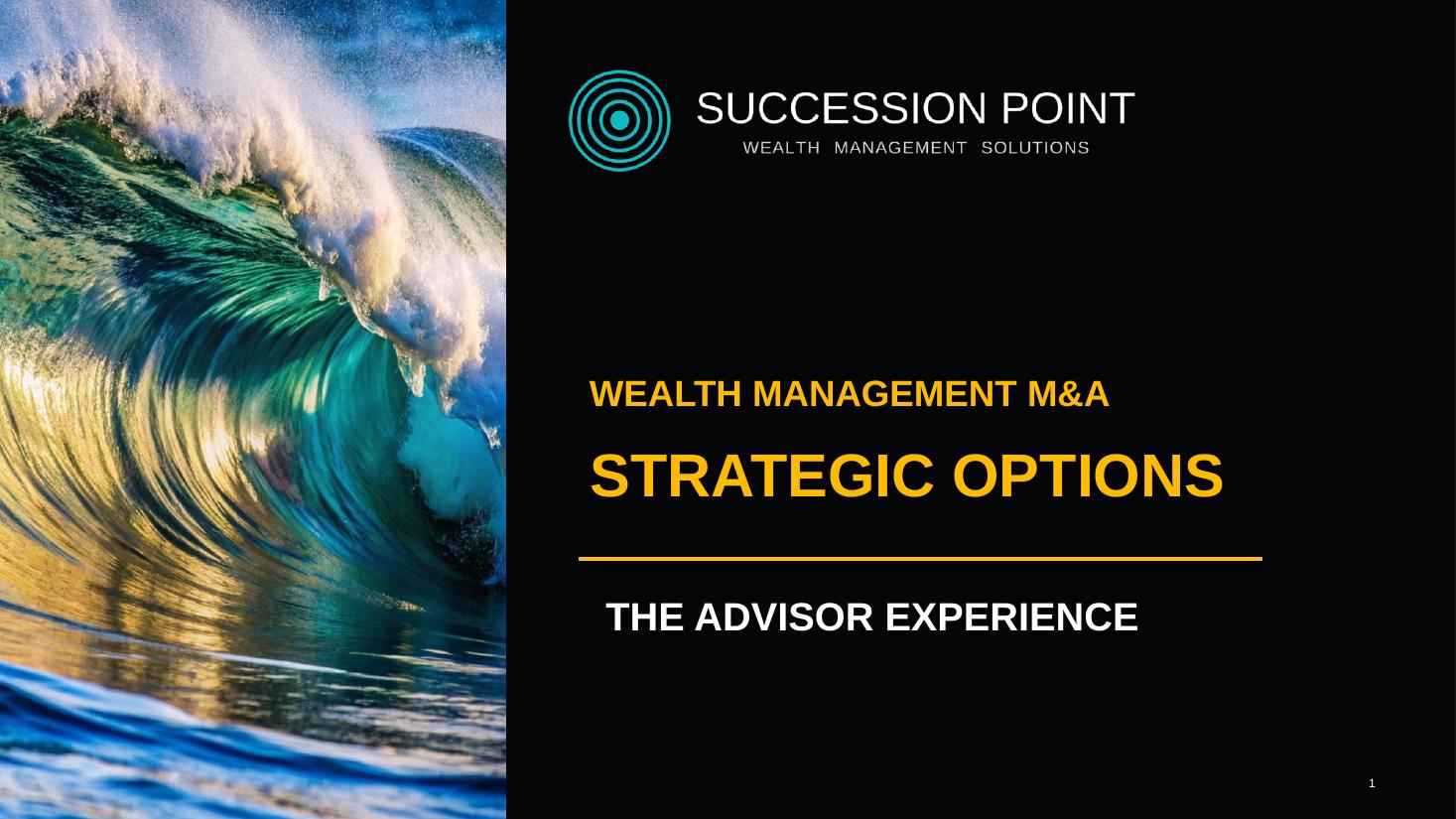 Strategic Options deck cover — Wealth Management M&A Strategic Options